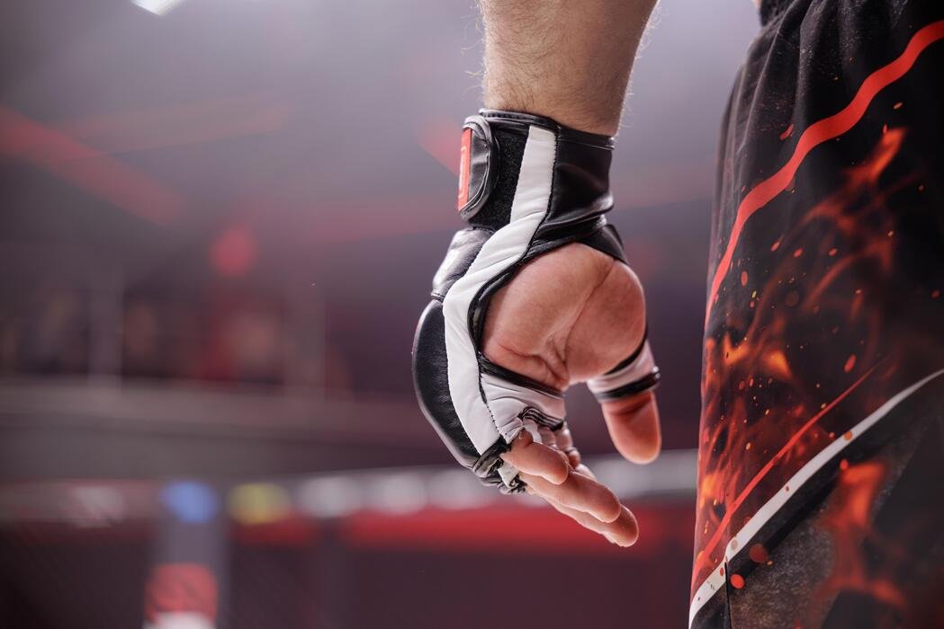 MMA Gloves